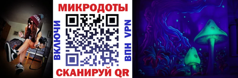 где купить наркоту Белая Холуница Галлюциногенные грибы Magic Shrooms